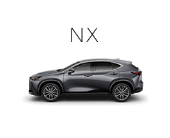 NX
